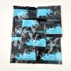 Blue Color Powder Packets (50 Count)