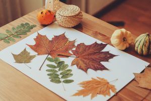 color powder crafts for fall