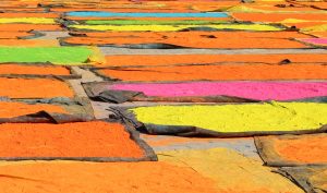 holi powder for sale in the bahamas